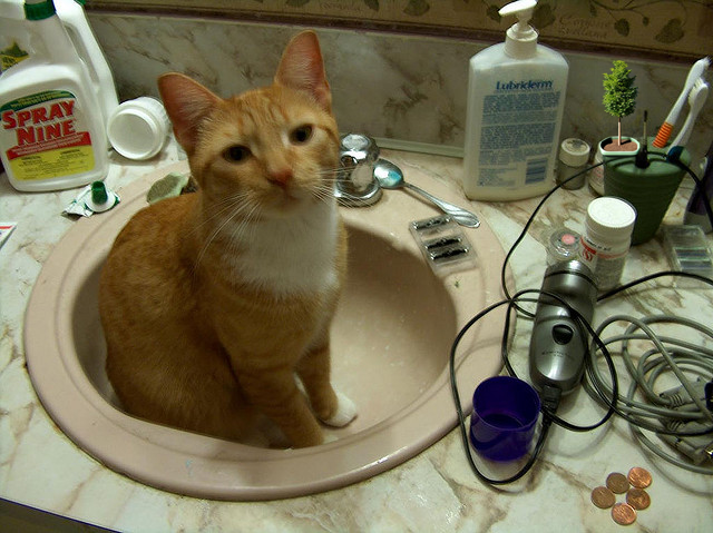 Inpainted potted plant example